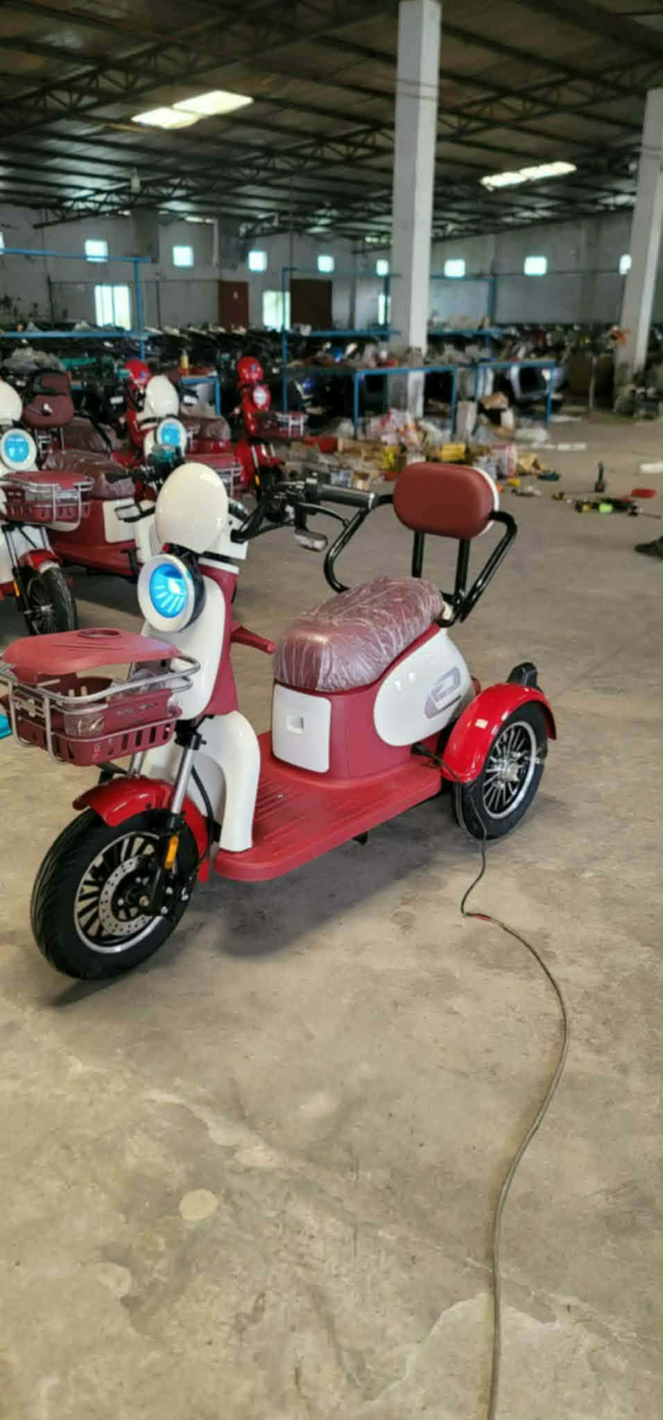 Classic Family 3-Wheeler